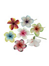 Tropical Plumeria Flower Hair Sticks – Assorted Colors