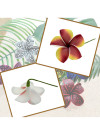 Tropical Plumeria Flower Hair Sticks – Assorted Colors