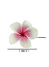 Tropical Plumeria Flower Hair Sticks – Assorted Colors