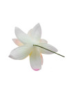 Tropical Orchid Flower Hair Sticks – Assorted Colors