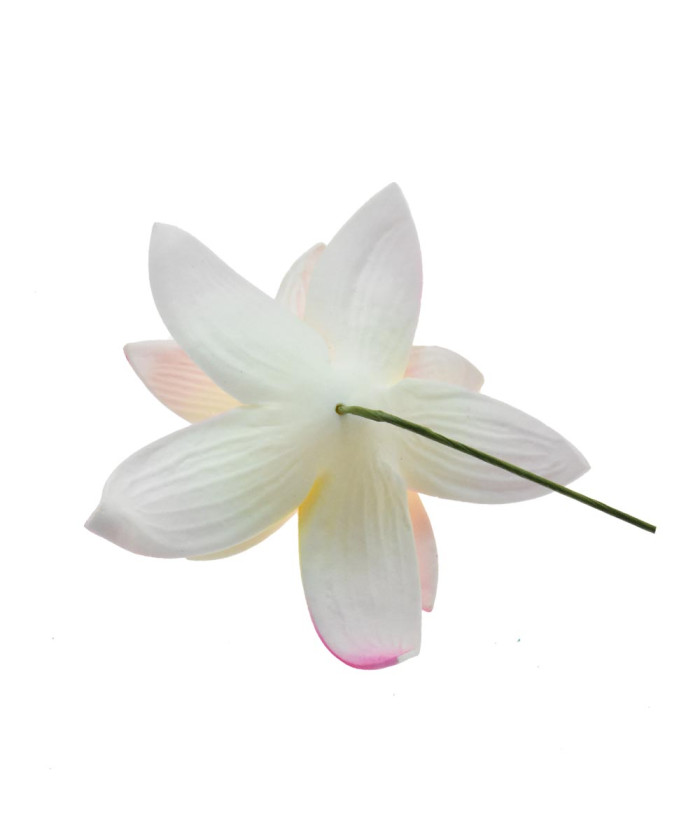 Tropical Orchid Flower Hair Sticks – Assorted Colors