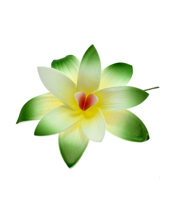 Tropical Orchid Flower Hair Sticks – Assorted Colors