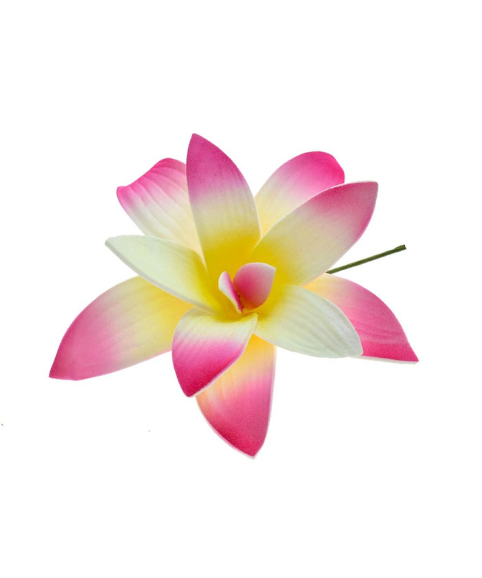 Tropical Orchid Flower Hair Sticks – Assorted Colors
