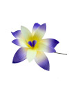 Tropical Orchid Flower Hair Sticks – Assorted Colors