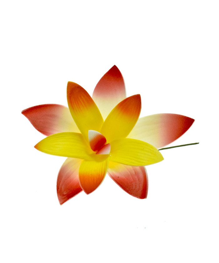 Tropical Orchid Flower Hair Sticks – Assorted Colors