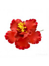 Tropical Hibiscus Flower Hair Sticks – Assorted Colors